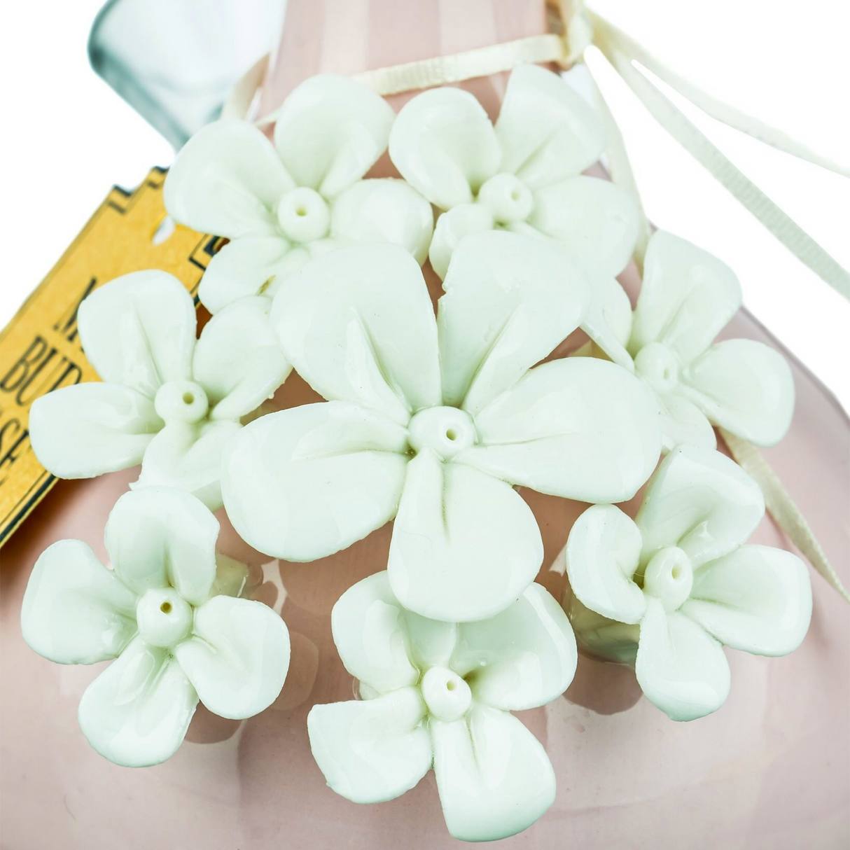 My Bud Vase "Rachel" Water Pipe