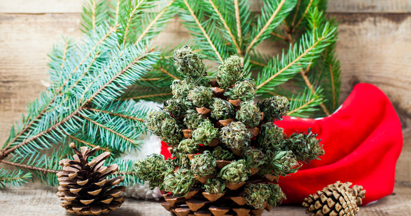 The Best Holiday Gifts for Stoners