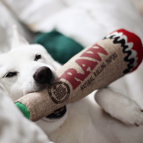 Raw Rolling Papers Dog Toy