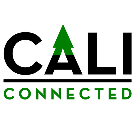 Cali Connected the Best Online Headshop