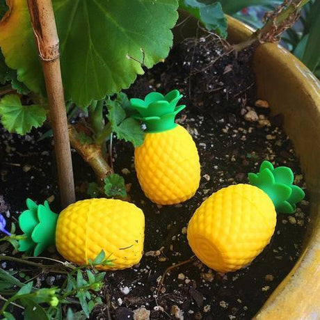 Silicone Pineapple wax storage containers