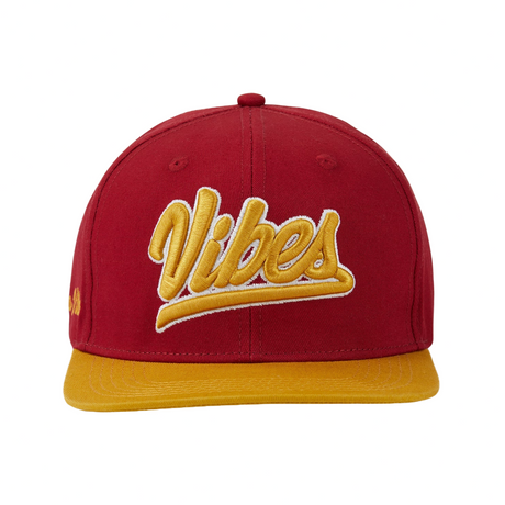 VIBES Style Logo Snapback