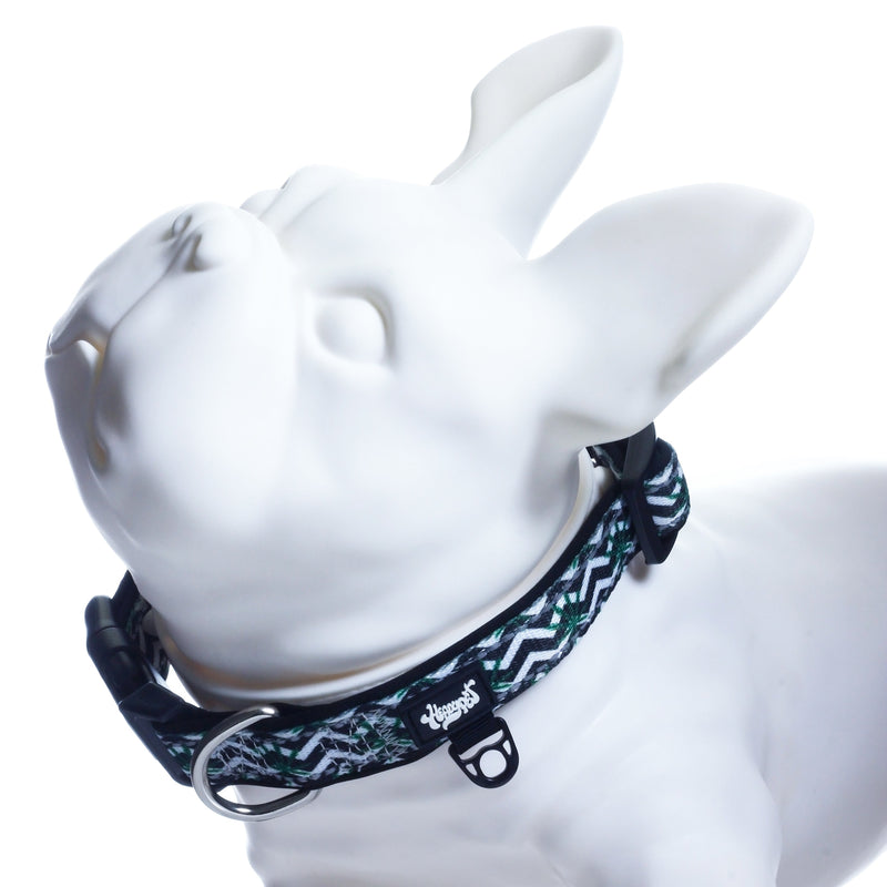 HeadyPet V2 Pet Collar 🐶 