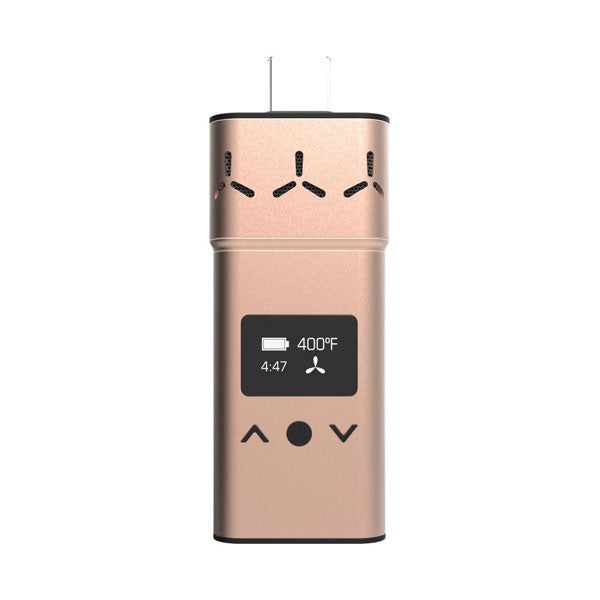 AirVape Xs Dry Herb Vaporizer 🌿 - CaliConnected