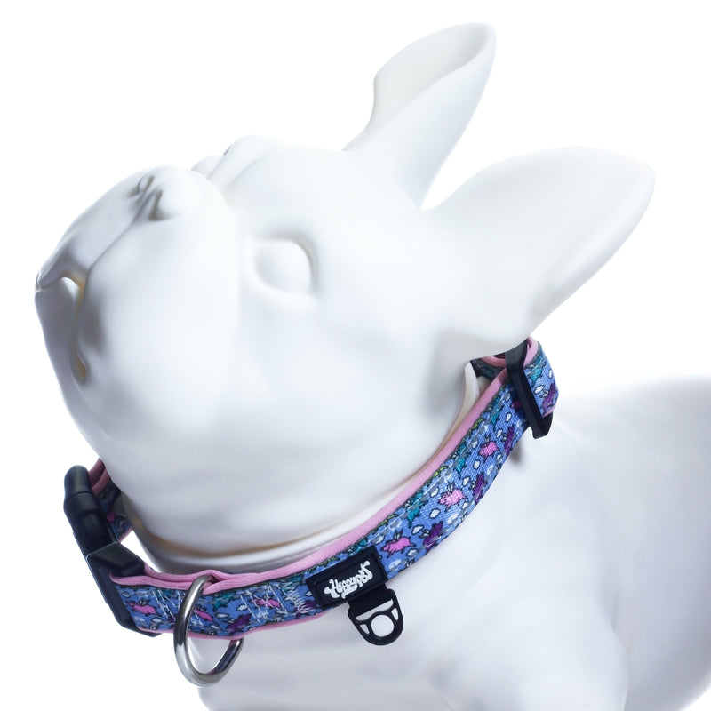HeadyPet V2 Pet Collar 🐶 