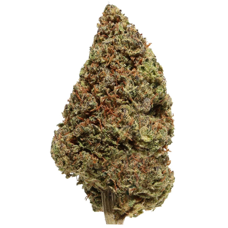 Lemon Octane CBD Flower (18.6% CBD) 🌿