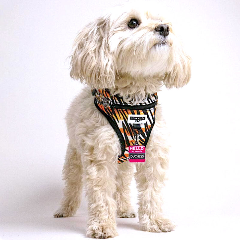 Retro Pet Dog Harness 🐶 